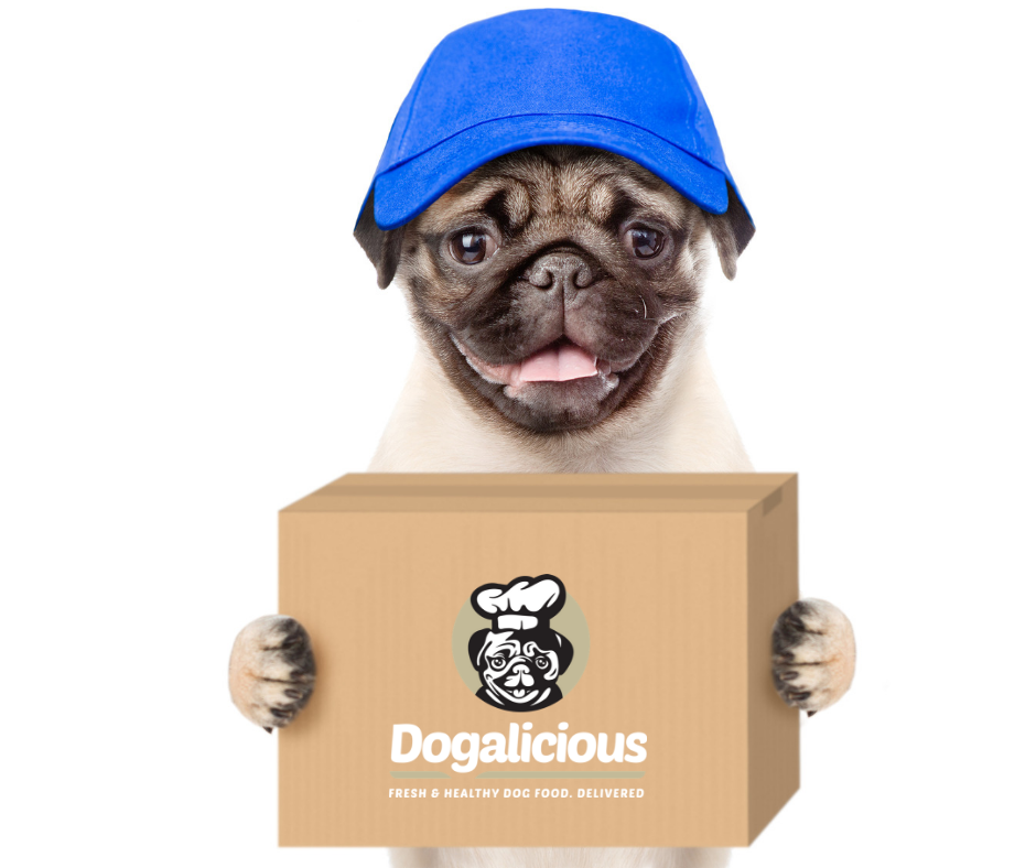 Dogalicious 退換貨政策