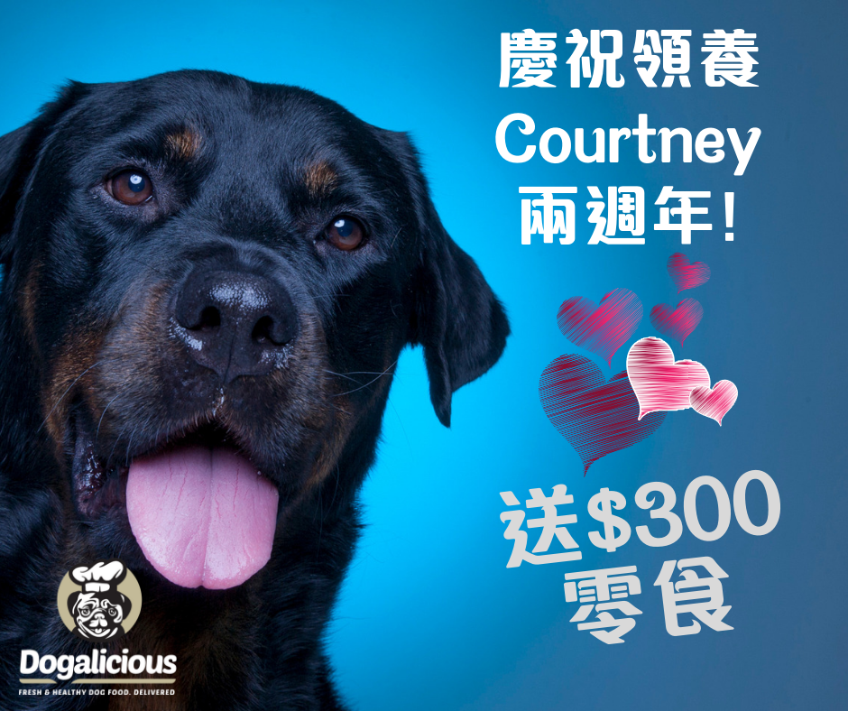 Courtney領養兩週年感謝祭