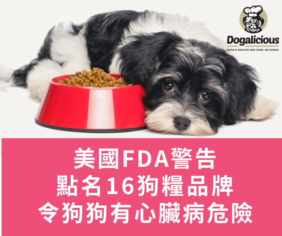 美國FDA警告 點名16狗糧品牌 會令狗狗有心臟病危險