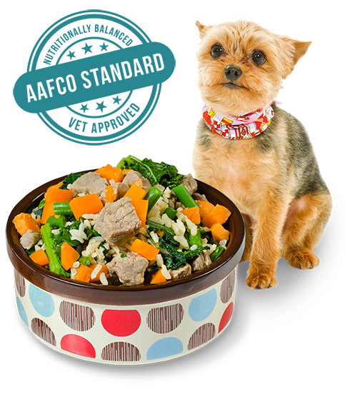 Dogalicious-Fresh-Dog-Food-Yorkie-Bowl