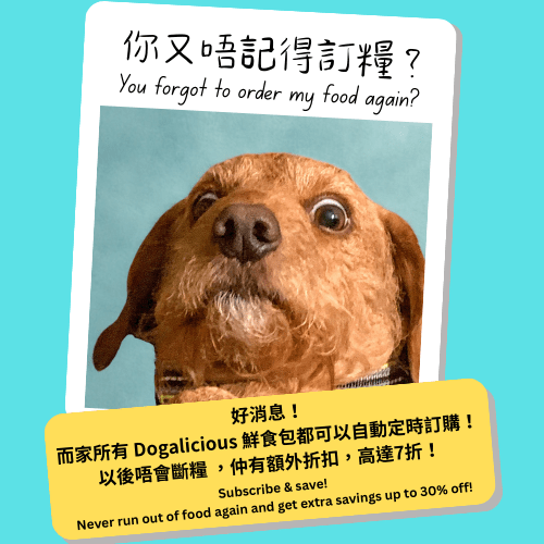 Dogalicious 寵物鮮食 Fresh Pet Food
