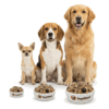 狗狗鮮食 - 份量定製計劃 fresh Dog Food customised plan
