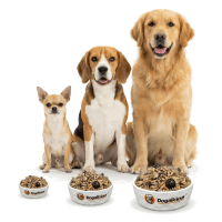 狗狗鮮食 - 份量定製計劃 fresh Dog Food customised plan