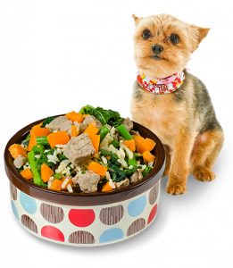 狗狗鮮食_Fresh Dog Food in a bowl