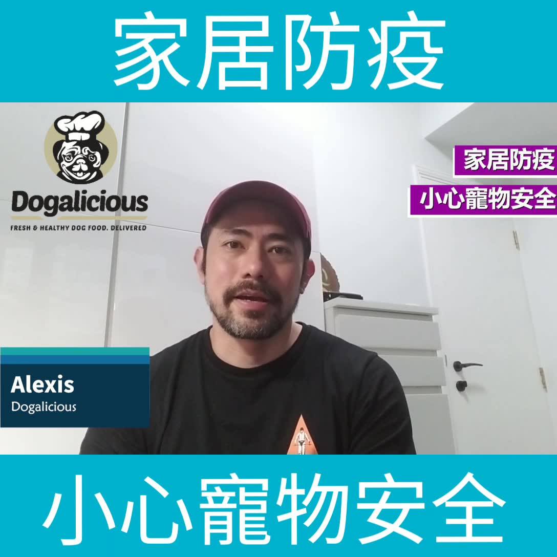 【寵物家居防疫】Dogalicious 安全清潔貼士