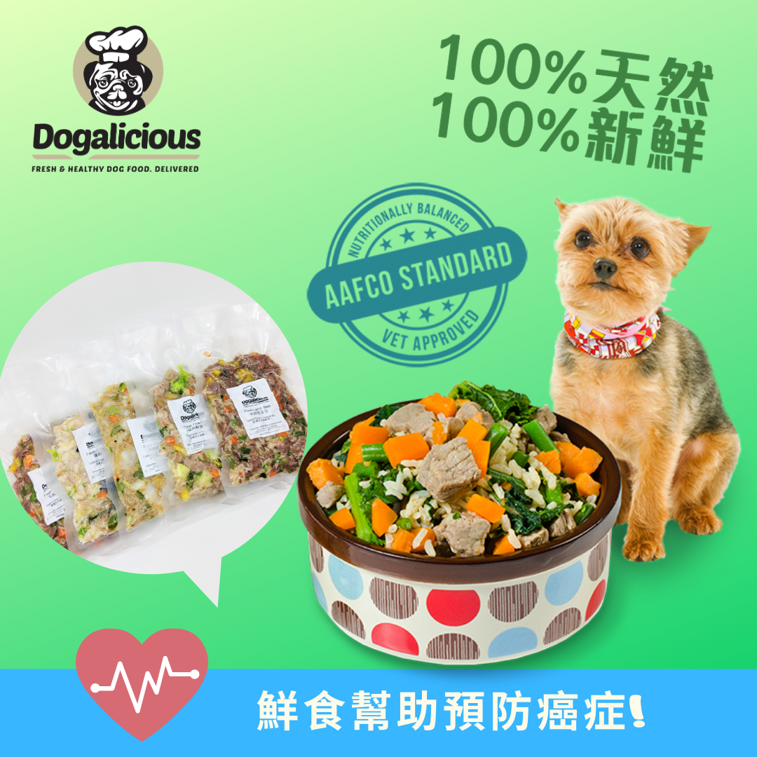 鮮食幫助狗狗預防患上癌症?