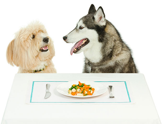 Dogalicious狗狗鮮食-fresh-dog-food-poodle-husky