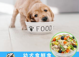 dogalicious-puppy-food