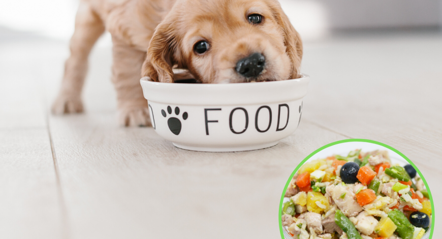 dogalicious-puppy-food