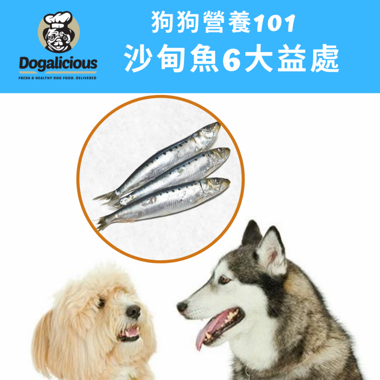 dog-nutrients-sardines