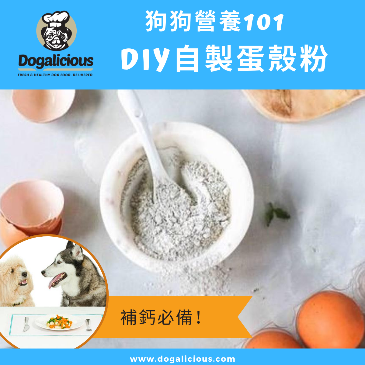 dog-nutrients-calcium-eggshell-powder 蛋殼鈣粉