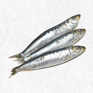 Dog-nutrients-Sardines