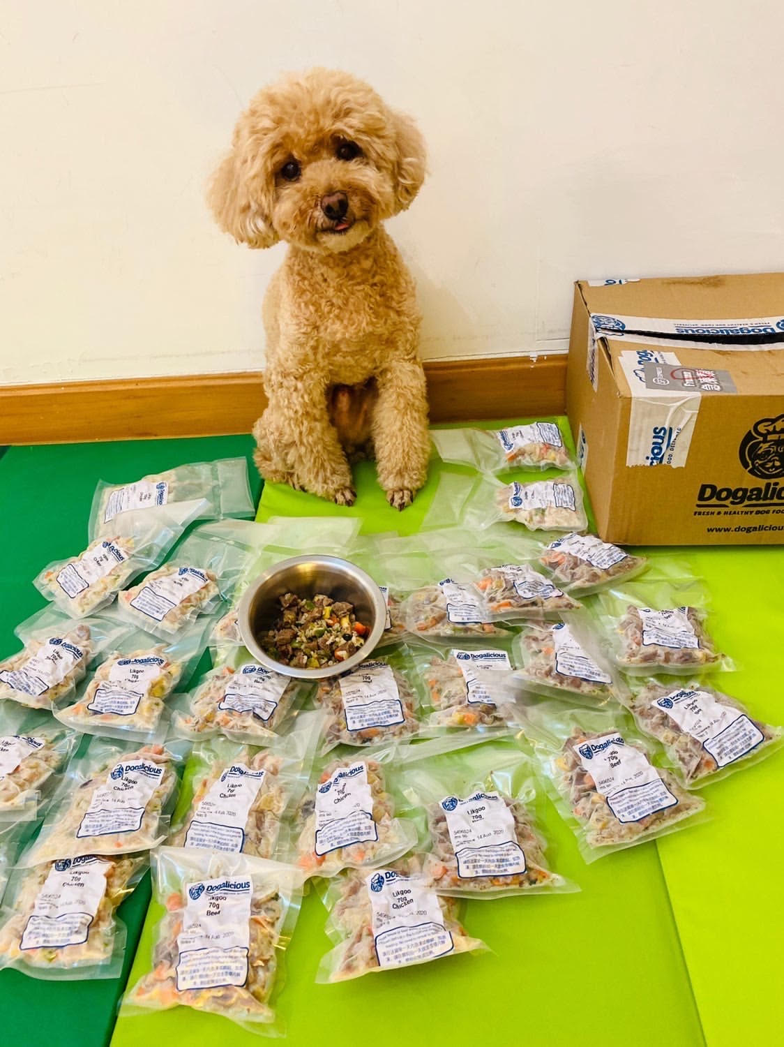 Dogalicious狗狗鮮食-fresh-dog-food-testimonial-poodle