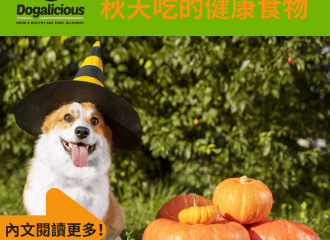 dogalicious-autumn-food-dog-pumpkin