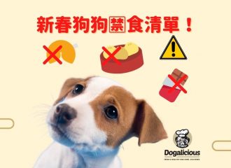 cny-human-food-that-dogs-cannot-eat