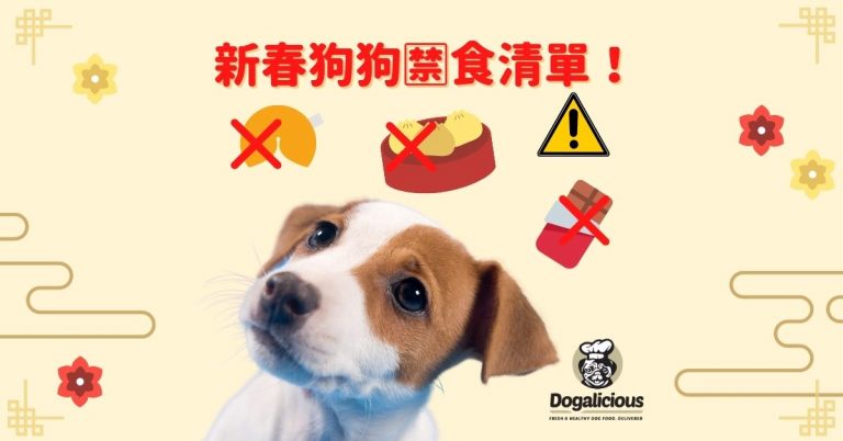 cny-human-food-that-dogs-cannot-eat