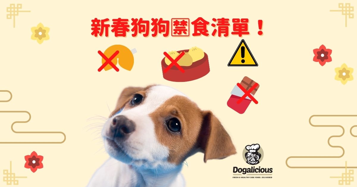 cny-human-food-that-dogs-cannot-eat