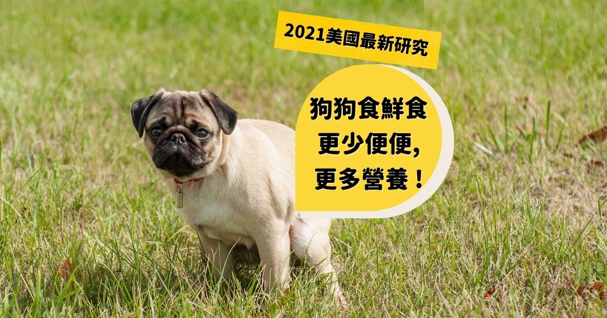 2021最新研究：狗狗食鮮食, 更少便便, 吸收更多營養! Dogalicious