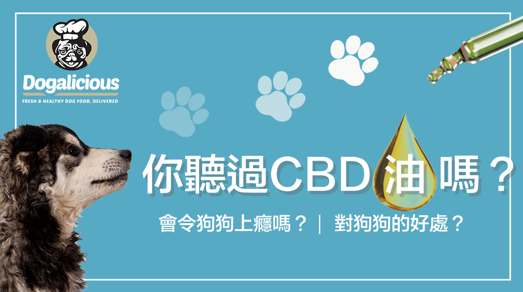 Dogalicious_dog_CBD_oil