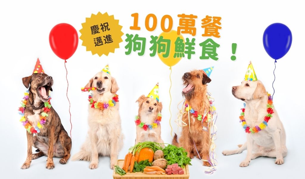 dogalicious-1millionmeal-celebration