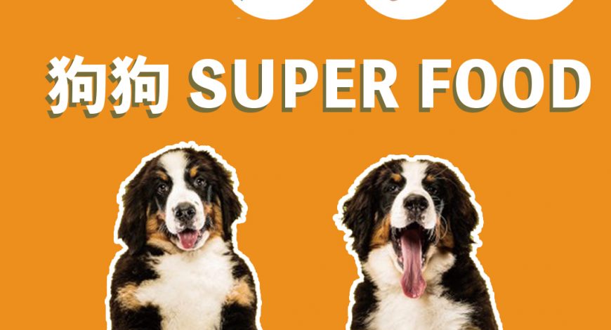 Dogalicious_dog_super_food