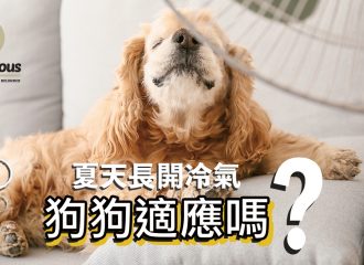 Dogalicious-dog-health-blog-summer-ac