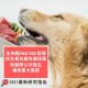 -raw-dog-food-impose-risk-on-public-health