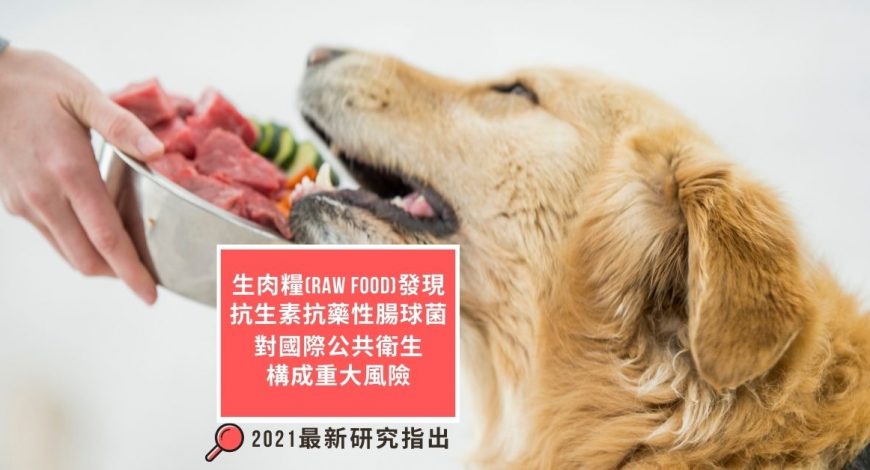 -raw-dog-food-impose-risk-on-public-health