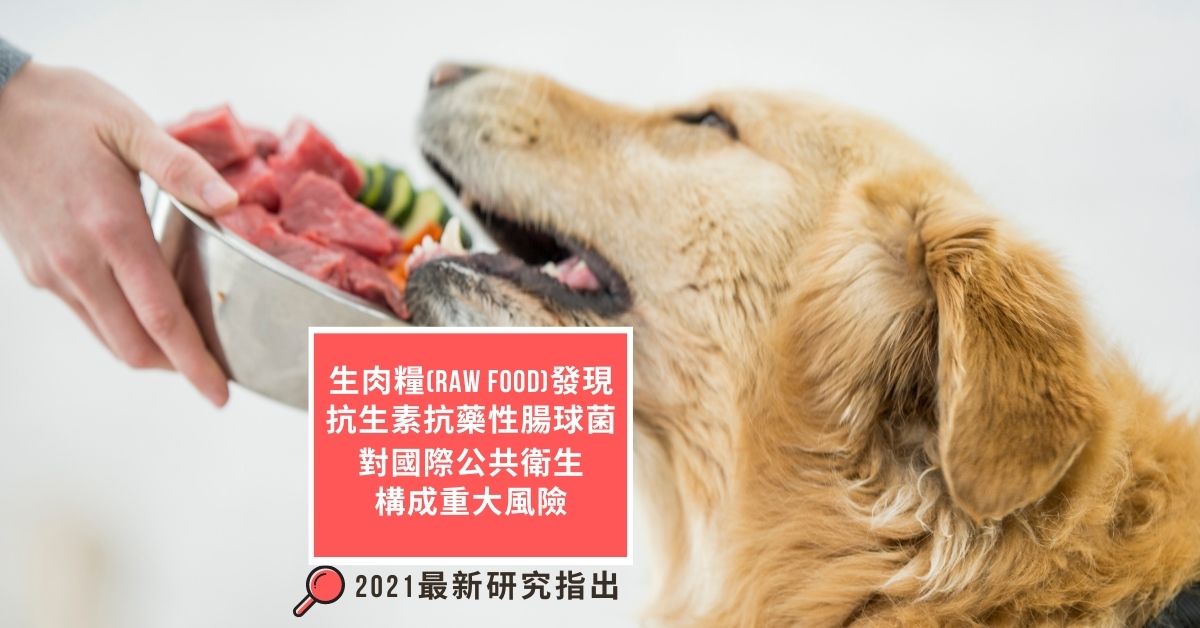 -raw-dog-food-impose-risk-on-public-health