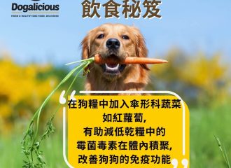 Dogalicious-carrot-longevity