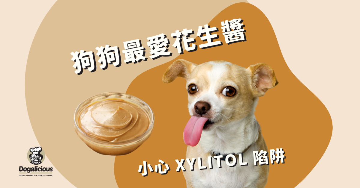 狗狗可以吃的花生醬 (附花生醬曲奇餅食譜)