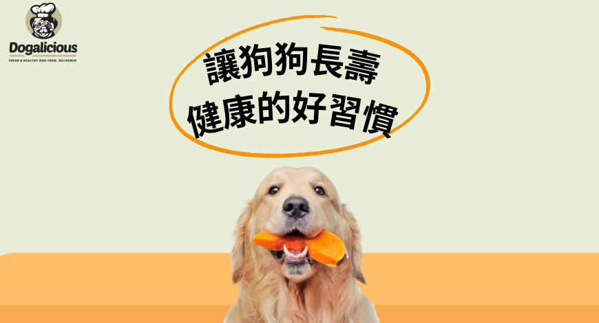 ????????讓狗狗長壽健康的好習慣 ????????