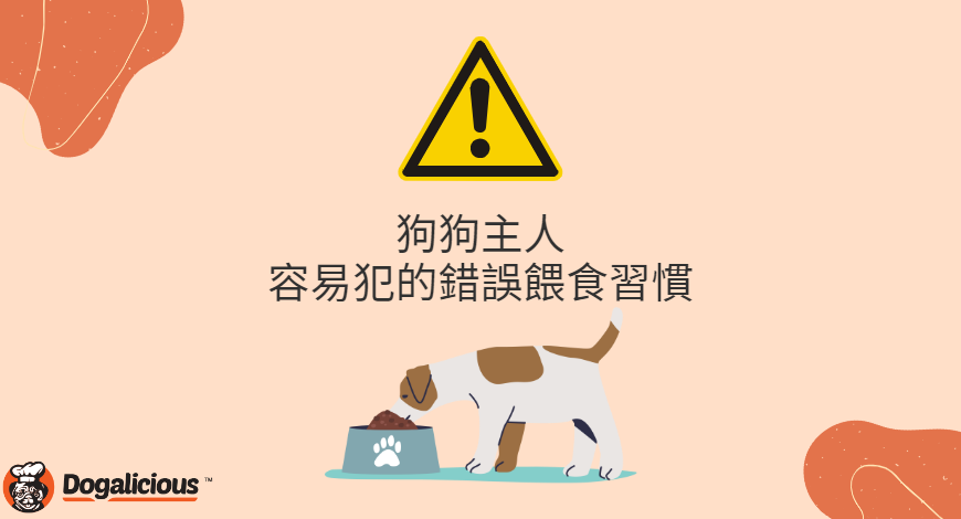 ⚠ 狗狗主人容易犯的錯誤餵食習慣 ⚠
