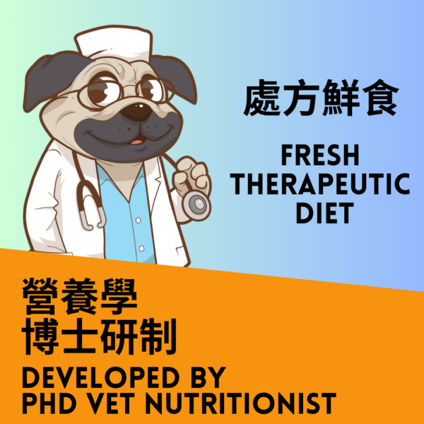 Therapeutic diet generic (1)