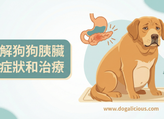 了解狗狗胰臟炎