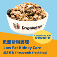 Low Fat Kidney Care Therapeutic - Customised Plan