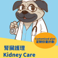 Kidney Care Therapeutic  - Customised Plan