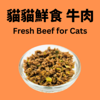 貓貓鮮食 - 牛肉餐