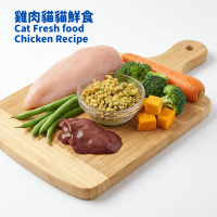 fresh cat food chicken 雞肉貓貓鮮食