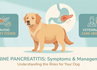 What Causes Pancreatitis in Dogs?