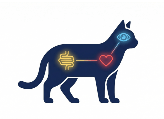 貓咪牛磺酸 cat taurine deficiency