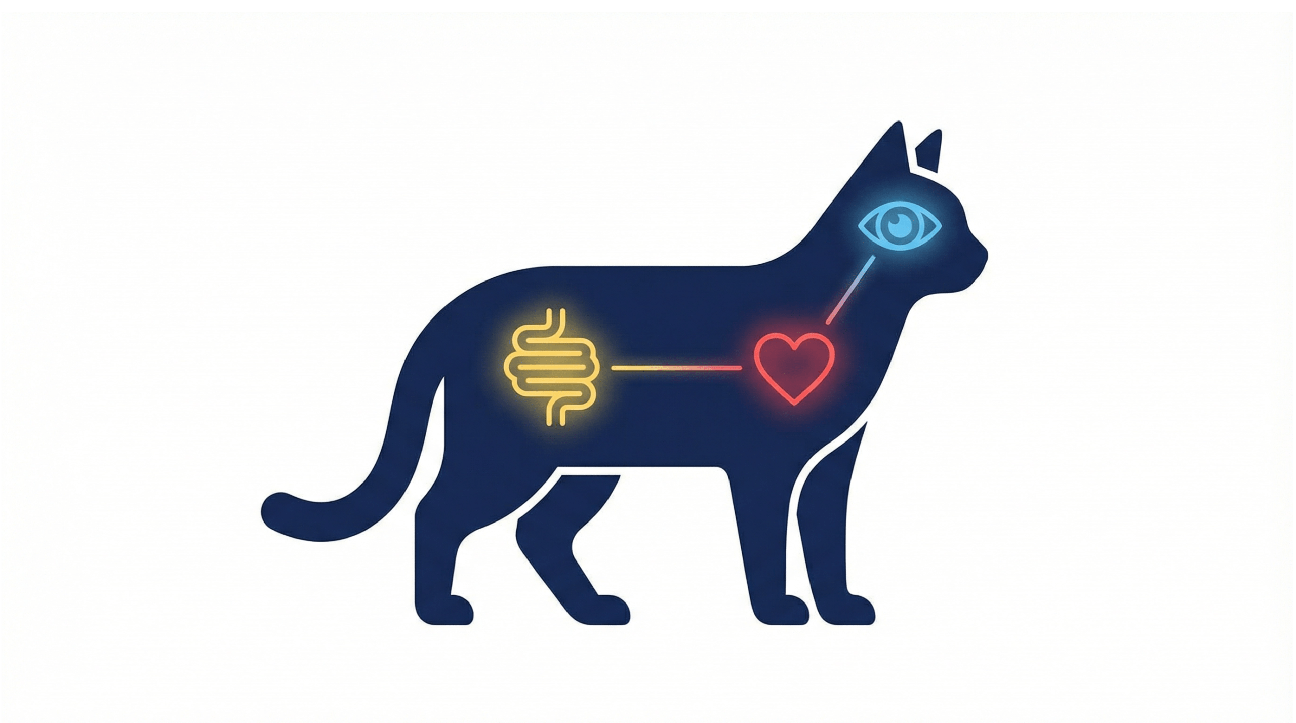 貓咪牛磺酸 cat taurine deficiency