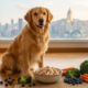 dog immune health humid climate fresh food - blog header