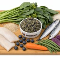 Pancreas Digestive Care (Fish) Therapeutic Fresh Dog Food — made with real ingredients