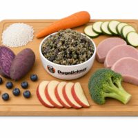Low Fat Kidney Care (Pork) Therapeutic Fresh Dog Food — made with real ingredients