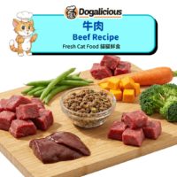 Fresh Cat Food – Beef - ingredients