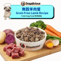 Energizing Lamb Recipe - Fresh Dog Food — made with real ingredients