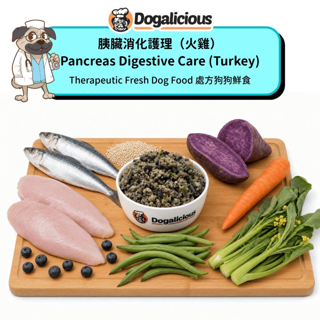 Pancreas Digestive Care (Turkey) Therapeutic Fresh Dog Food — made with real ingredients