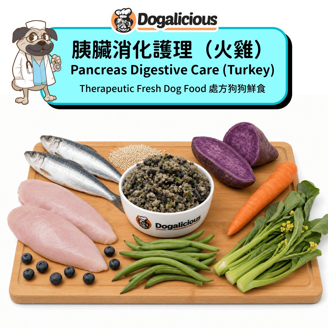 Pancreas Digestive Care Bundle