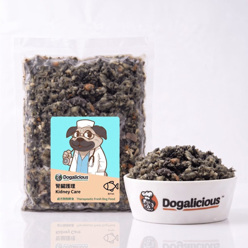Kidney Care (Fish) Therapeutic Fresh Dog Food — retail pack with a serving bowl